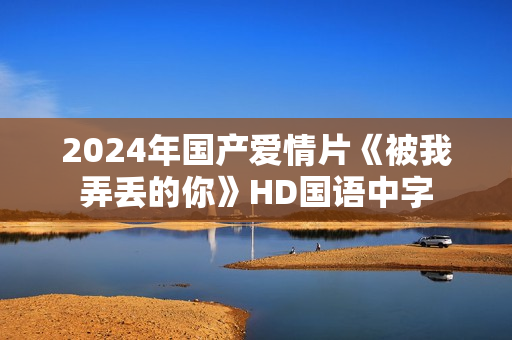 2024年国产爱情片《被我弄丢的你》HD国语中字