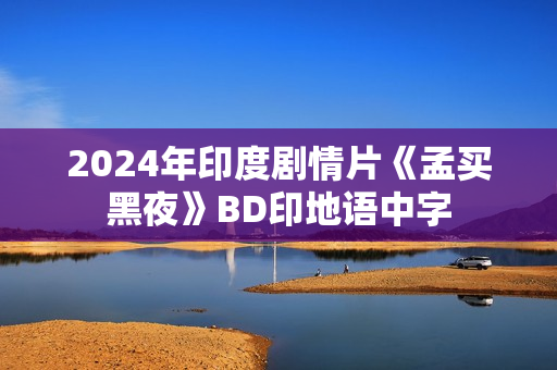 2024年印度剧情片《孟买黑夜》BD印地语中字