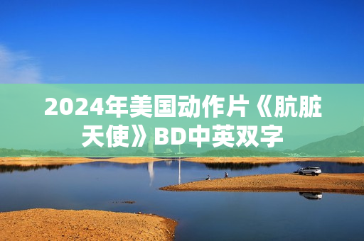 2024年美国动作片《肮脏天使》BD中英双字