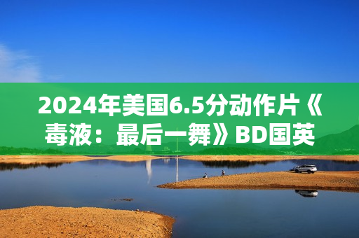 2024年美国6.5分动作片《毒液：最后一舞》BD国英双语双字修复版