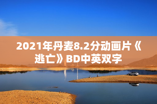 2021年丹麦8.2分动画片《逃亡》BD中英双字