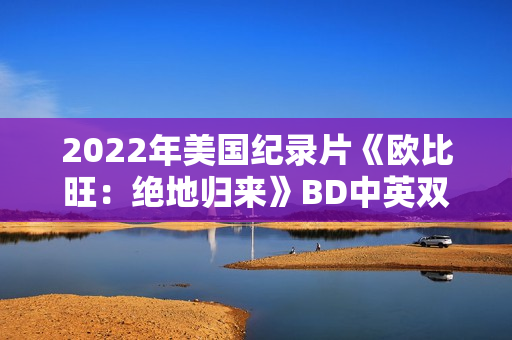 2022年美国纪录片《欧比旺：绝地归来》BD中英双字