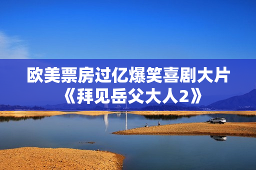 欧美票房过亿爆笑喜剧大片《拜见岳父大人2》