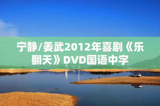 宁静/姜武2012年喜剧《乐翻天》DVD国语中字