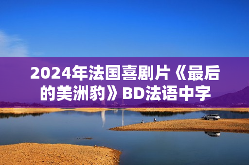 2024年法国喜剧片《最后的美洲豹》BD法语中字