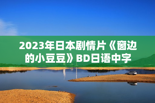 2023年日本剧情片《窗边的小豆豆》BD日语中字