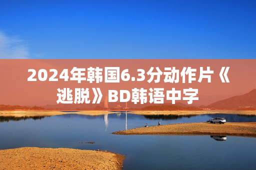 2024年韩国6.3分动作片《逃脱》BD韩语中字