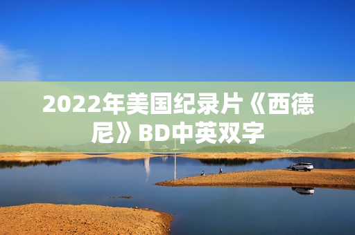 2022年美国纪录片《西德尼》BD中英双字