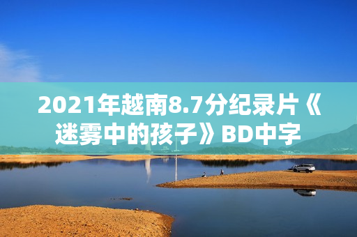 2021年越南8.7分纪录片《迷雾中的孩子》BD中字