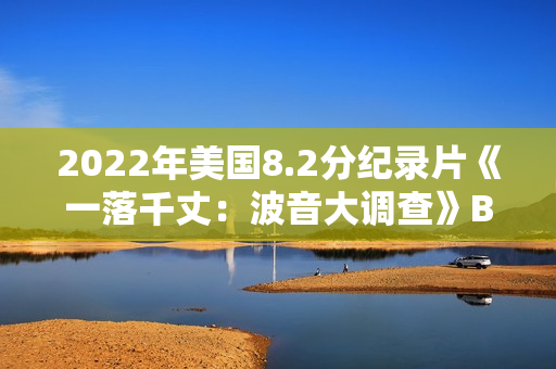 2022年美国8.2分纪录片《一落千丈：波音大调查》BD中英双字