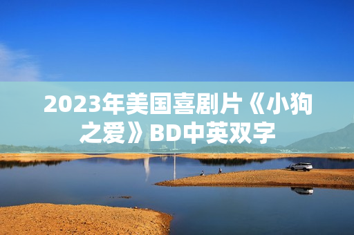 2023年美国喜剧片《小狗之爱》BD中英双字