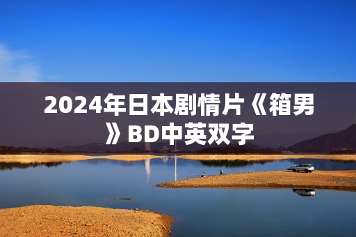 2024年日本剧情片《箱男》BD中英双字