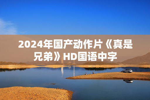 2024年国产动作片《真是兄弟》HD国语中字