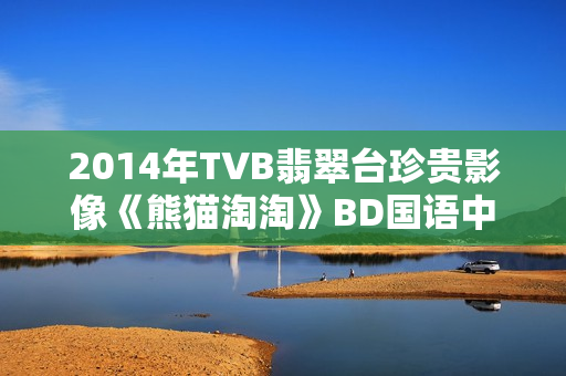 2014年TVB翡翠台珍贵影像《熊猫淘淘》BD国语中字