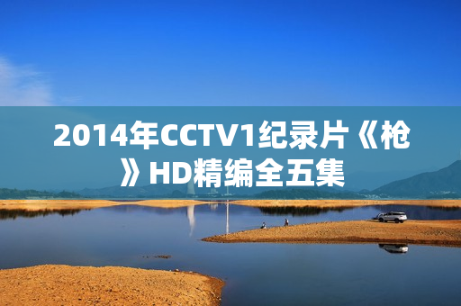 2014年CCTV1纪录片《枪》HD精编全五集