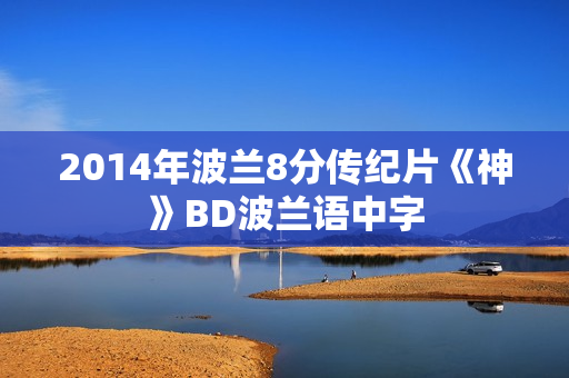 2014年波兰8分传纪片《神》BD波兰语中字