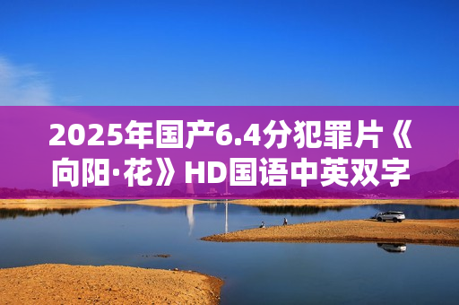 2025年国产6.4分犯罪片《向阳·花》HD国语中英双字超清版