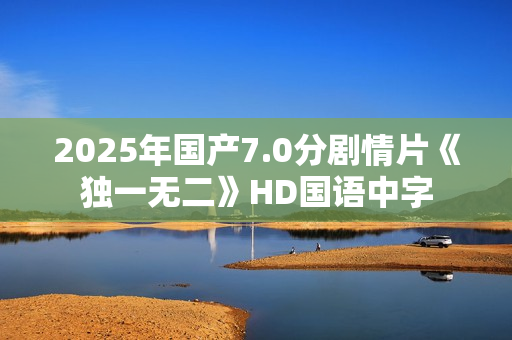 2025年国产7.0分剧情片《独一无二》HD国语中字