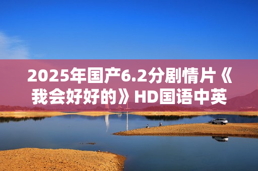 2025年国产6.2分剧情片《我会好好的》HD国语中英双字