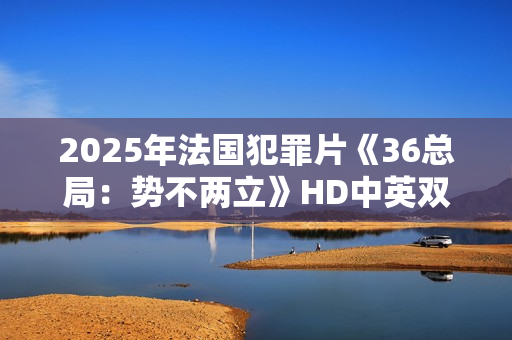 2025年法国犯罪片《36总局：势不两立》HD中英双字