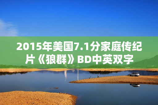 2015年美国7.1分家庭传纪片《狼群》BD中英双字