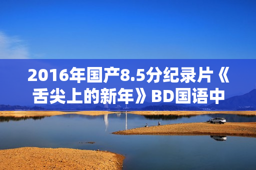 2016年国产8.5分纪录片《舌尖上的新年》BD国语中字