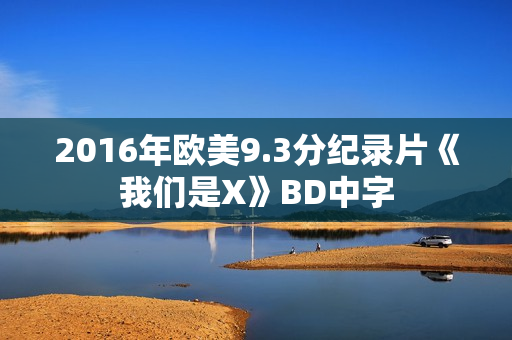 2016年欧美9.3分纪录片《我们是X》BD中字