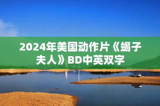 2024年美国动作片《蝎子夫人》BD中英双字