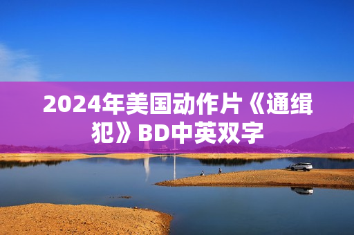 2024年美国动作片《通缉犯》BD中英双字