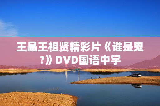 王晶王祖贤精彩片《谁是鬼?》DVD国语中字