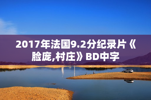 2017年法国9.2分纪录片《脸庞,村庄》BD中字