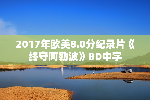 2017年欧美8.0分纪录片《终守阿勒波》BD中字
