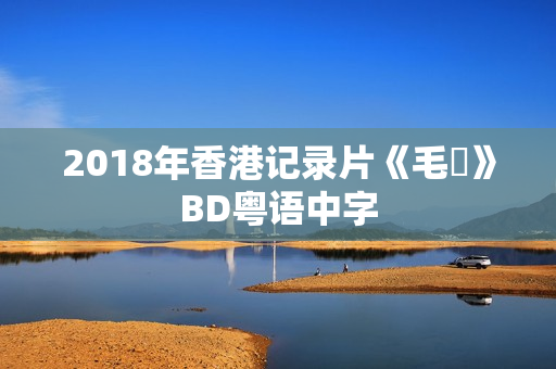 2018年香港记录片《毛俠》BD粤语中字