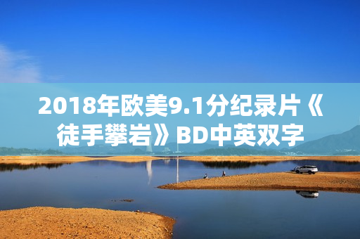 2018年欧美9.1分纪录片《徒手攀岩》BD中英双字