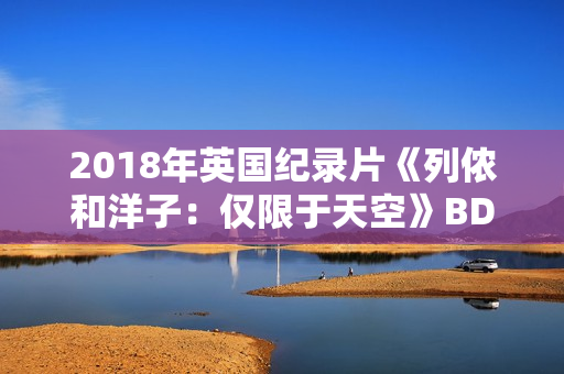 2018年英国纪录片《列侬和洋子：仅限于天空》BD中英双字