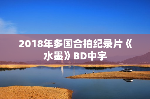 2018年多国合拍纪录片《水墨》BD中字