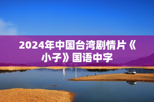 2024年中国台湾剧情片《小子》国语中字