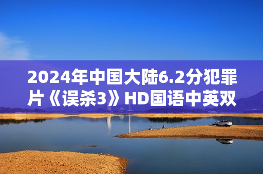2024年中国大陆6.2分犯罪片《误杀3》HD国语中英双字