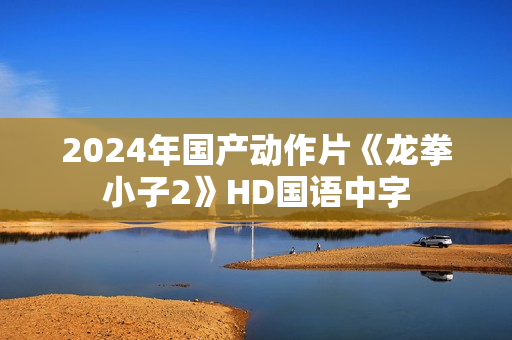 2024年国产动作片《龙拳小子2》HD国语中字