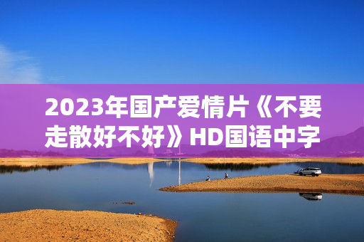 2023年国产爱情片《不要走散好不好》HD国语中字
