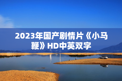 2023年国产剧情片《小马鞭》HD中英双字