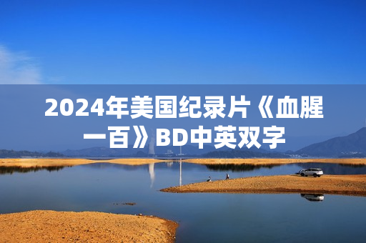 2024年美国纪录片《血腥一百》BD中英双字