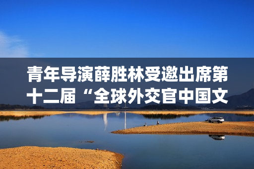 青年导演薛胜林受邀出席第十二届“全球外交官中国文化之夜”活动(薛锦胜导演)