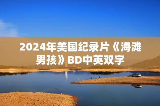 2024年美国纪录片《海滩男孩》BD中英双字
