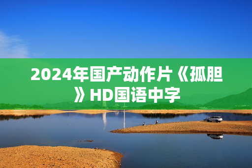 2024年国产动作片《孤胆》HD国语中字