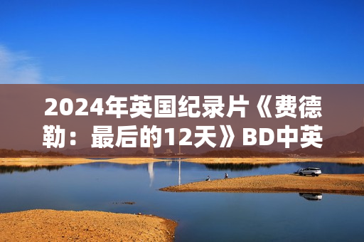 2024年英国纪录片《费德勒：最后的12天》BD中英双字