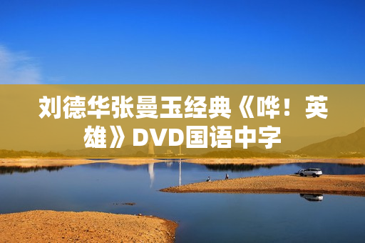 刘德华张曼玉经典《哗！英雄》DVD国语中字