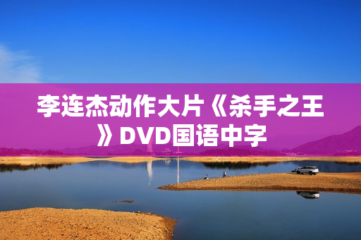 李连杰动作大片《杀手之王》DVD国语中字
