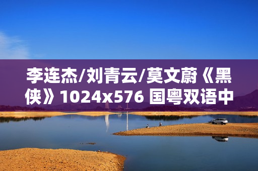 李连杰/刘青云/莫文蔚《黑侠》1024x576 国粤双语中字