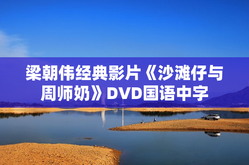梁朝伟经典影片《沙滩仔与周师奶》DVD国语中字